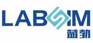LABSOM
